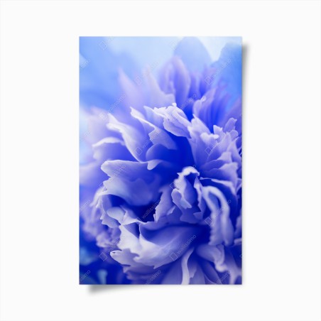Poster sanfte blaue abstrakte blume nahaufnahme – Wallnifity®