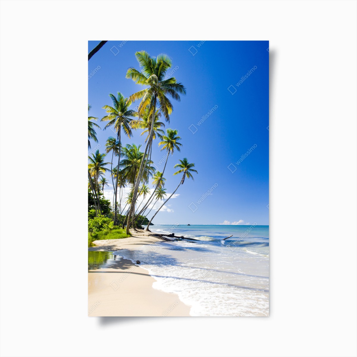 Poster tropischer palmenstrand unter blauem himmel – Wallnifity®