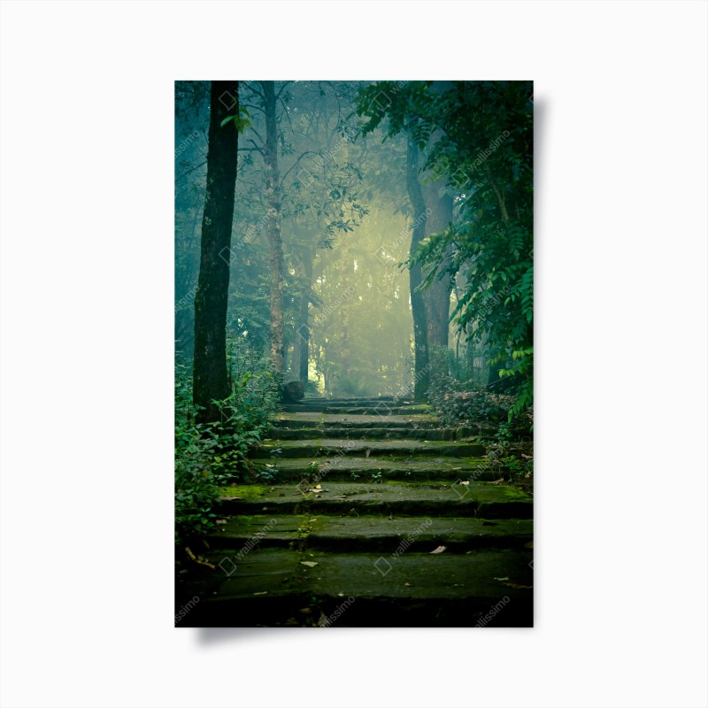Wälder – Wallnifity®