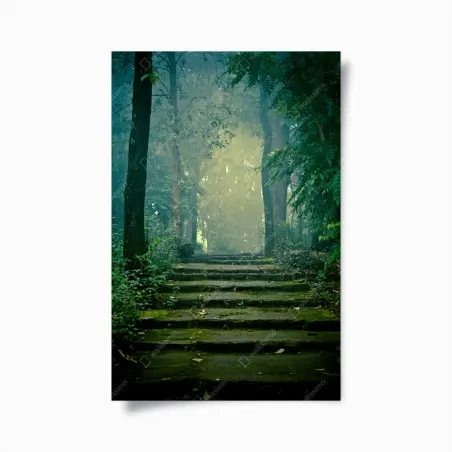 Poster moosbedeckte steintreppe in den nebligen wald – Wallnifity®