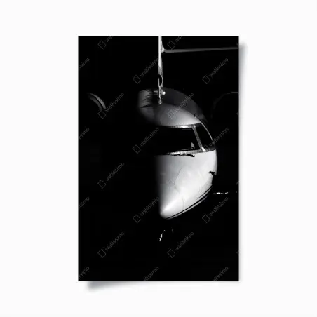 Poster monochromes porträt der flugzeugnase – Wallnifity®