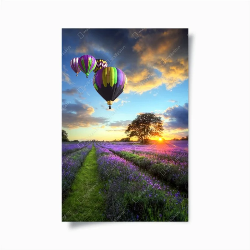 Natur – Wallnifity®