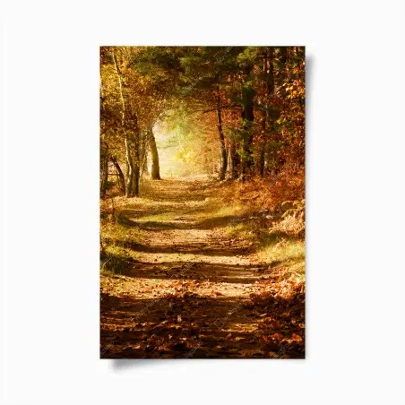 Poster herbstlicher waldweg mit goldenem licht – Wallnifity®