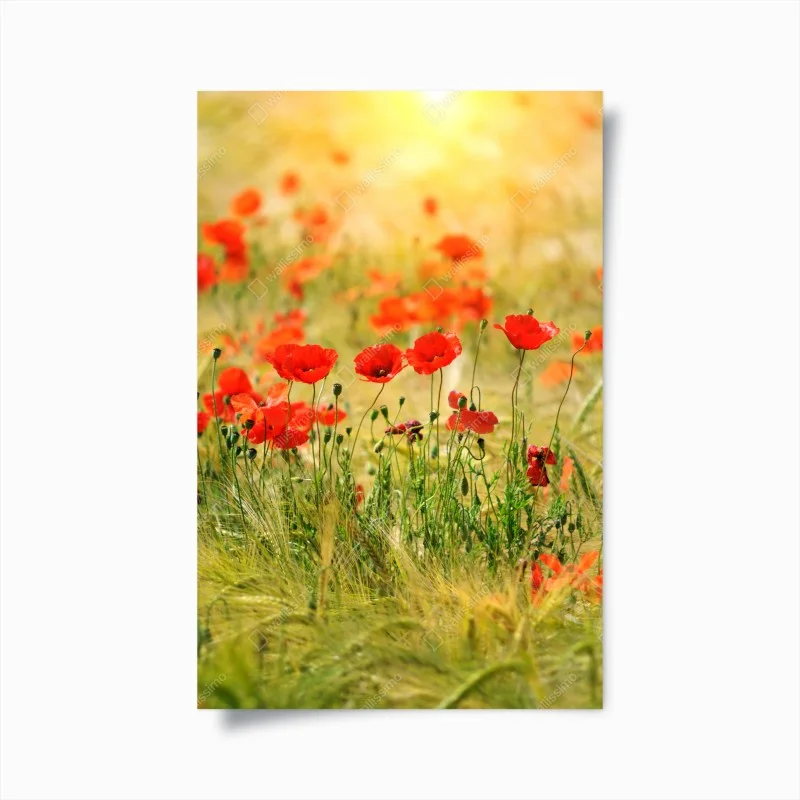 Natur – Wallnifity®