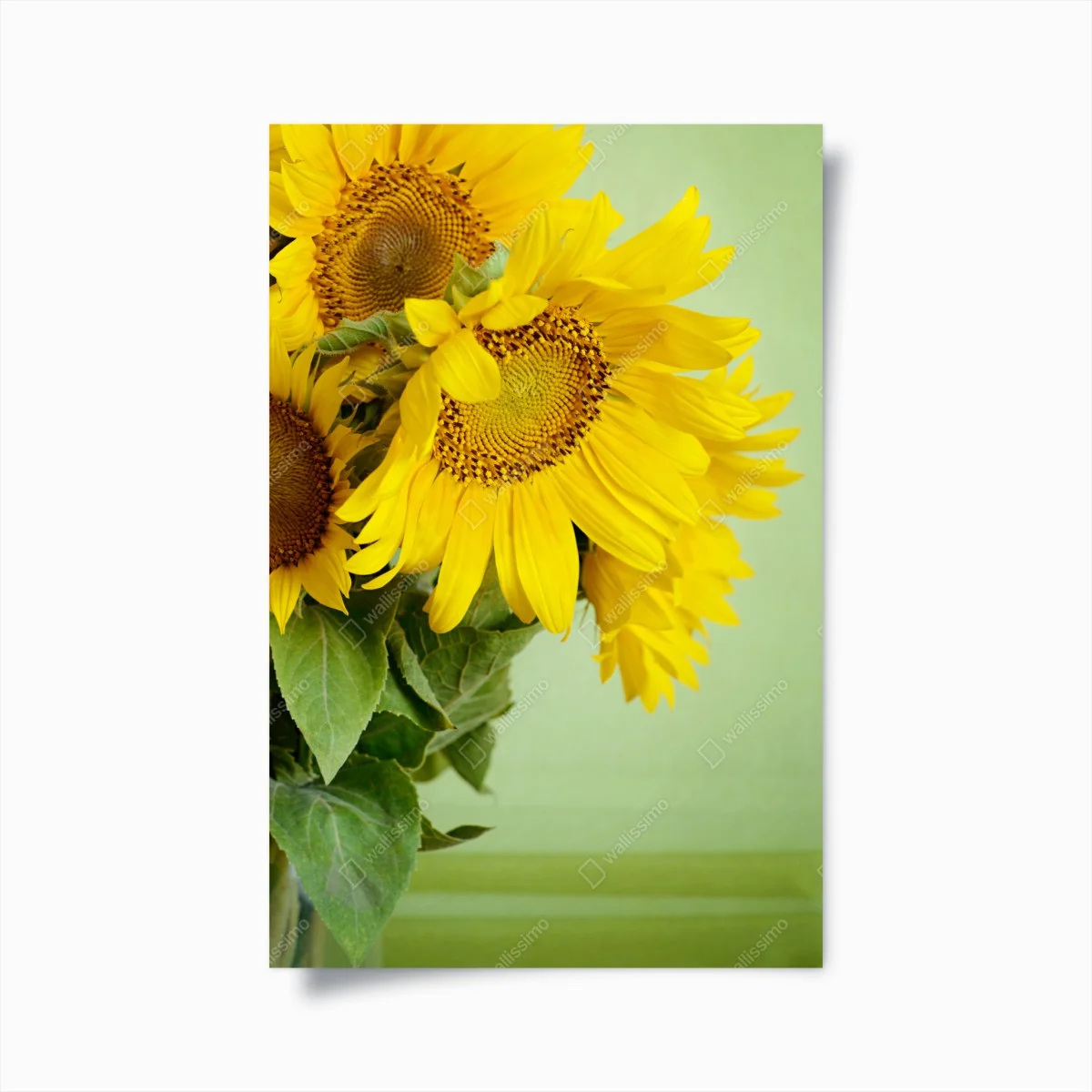 Poster heller sonnenblumenstrauß auf grünem hintergrund – Wallnifity® Poster heller sonnenblumenstrauß auf grünem hintergrund – Wallnifity®