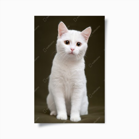 Poster niedliches porträt einer weißen katze – Wallnifity®