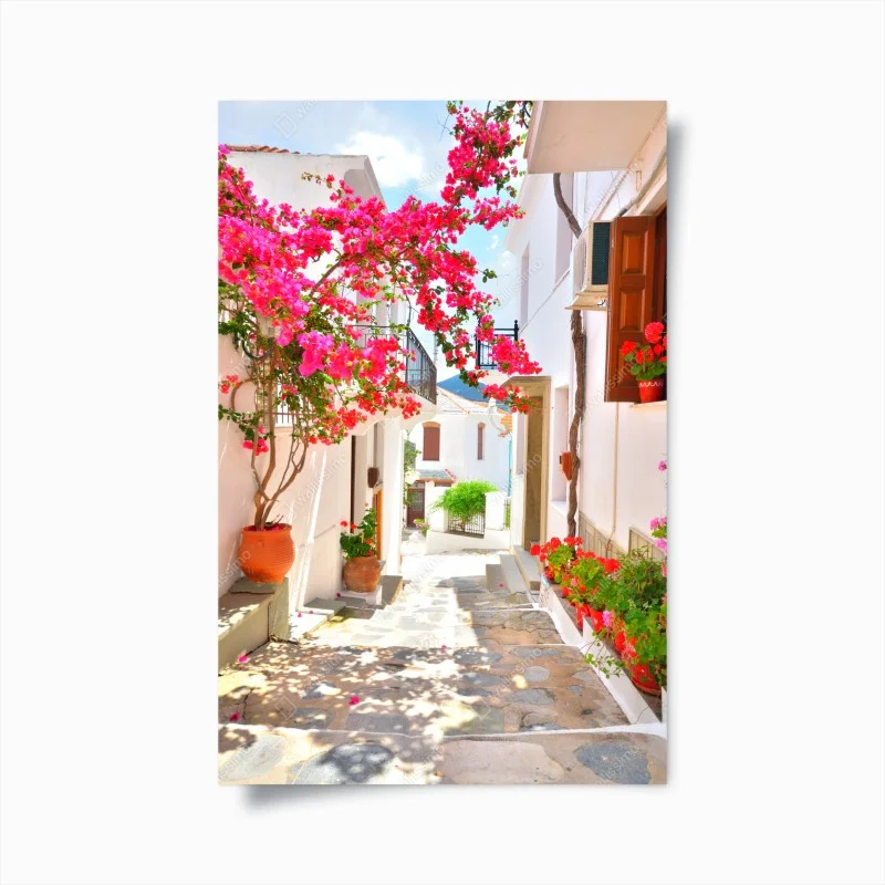 Poster sonnige mediterrane gasse mit bougainvillea