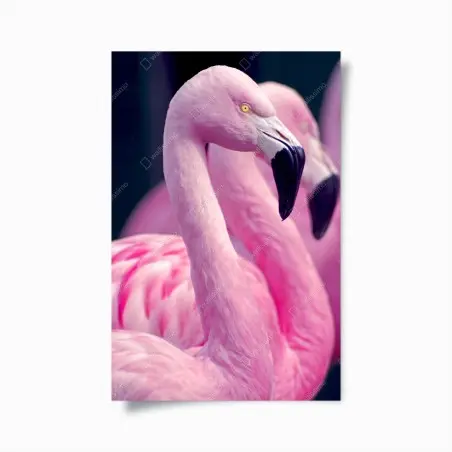 Poster anmutiges rosa flamingo-porträt – Wallnifity®