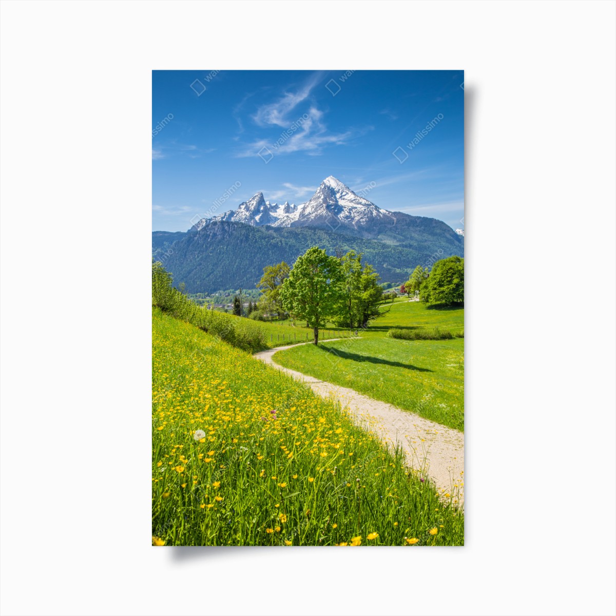 Poster alpenwiese und bergpfad – Wallnifity®
