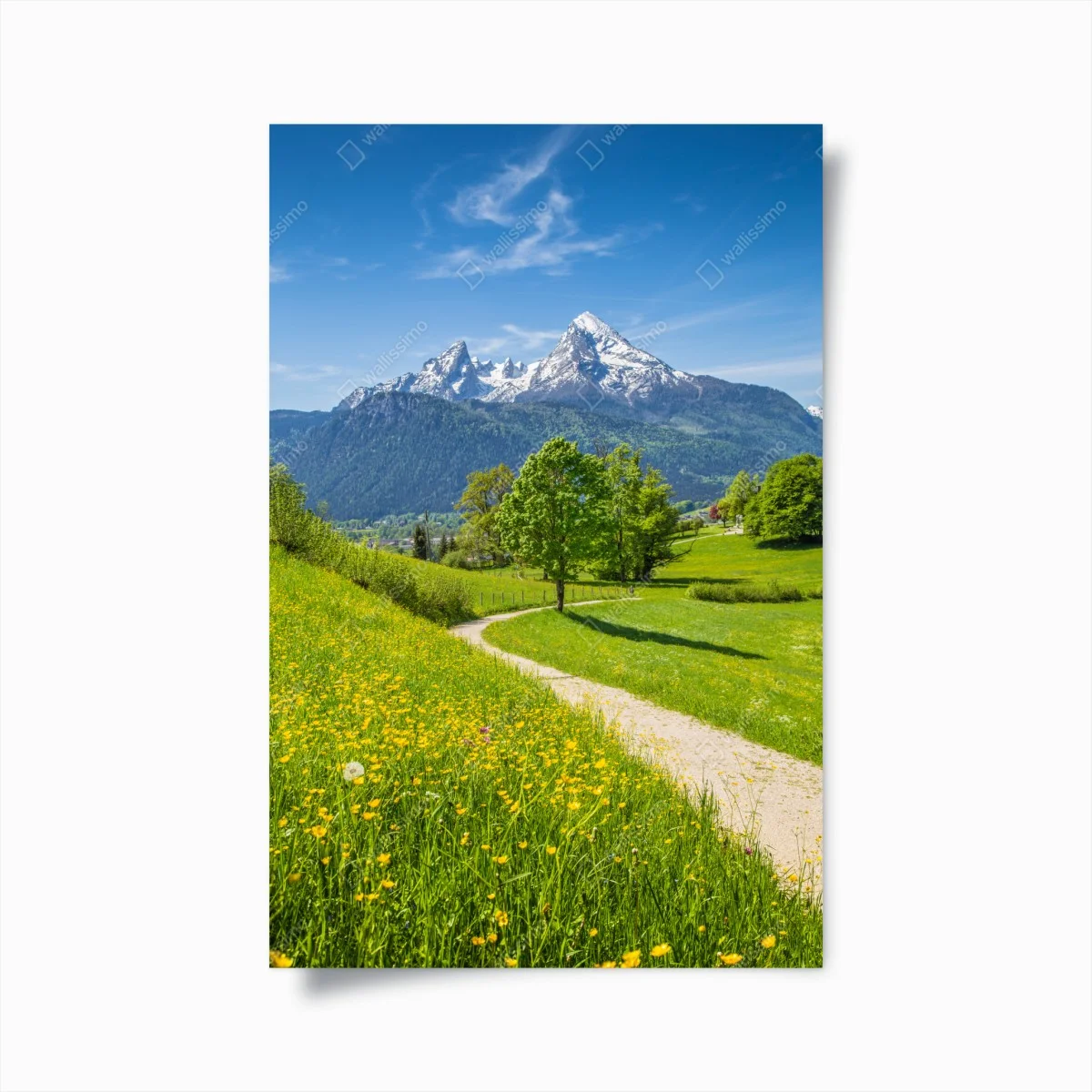 Poster alpenwiese und bergpfad – Wallnifity® Poster alpenwiese und bergpfad – Wallnifity®