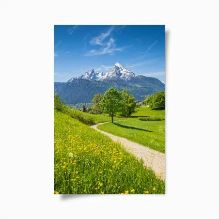 Poster alpenwiese und bergpfad – Wallnifity®