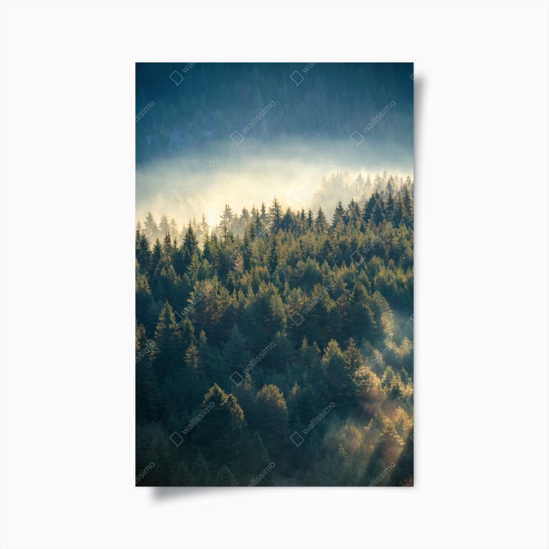 Natur – Wallnifity®