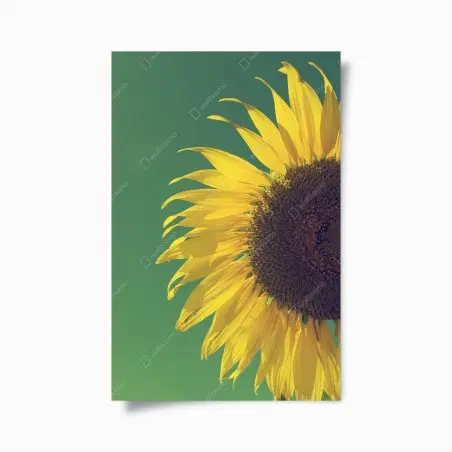 Poster strahlende sonnenblume vor vintage-himmel – Wallnifity®