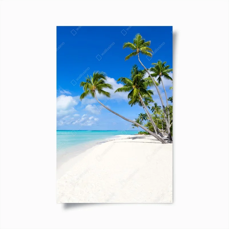 Natur – Wallnifity®