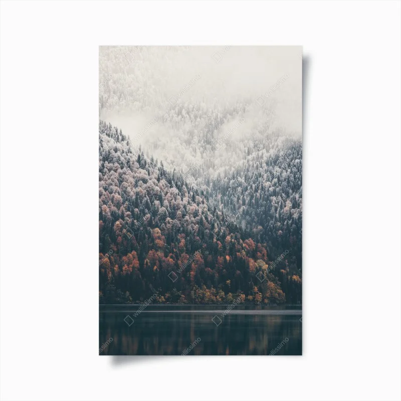 Poster herbstlicher nebel über bergwald