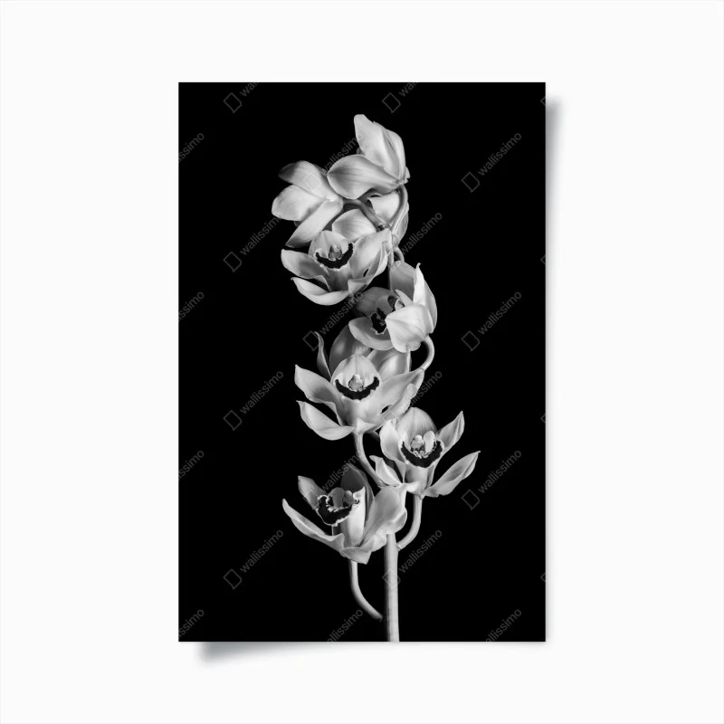 Minimalistisch – Wallnifity®