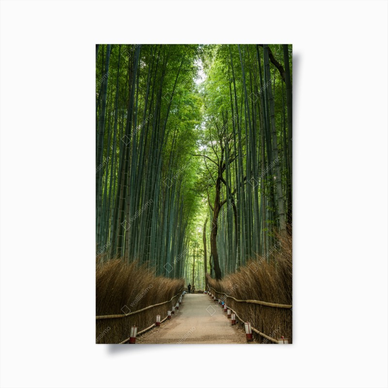 Wälder – Wallnifity®