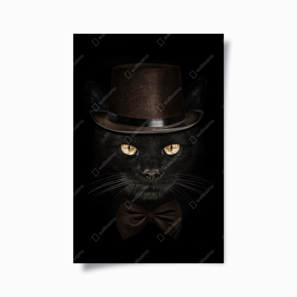Poster elegante schwarze katze mit zylinder und fliege – Wallnifity®