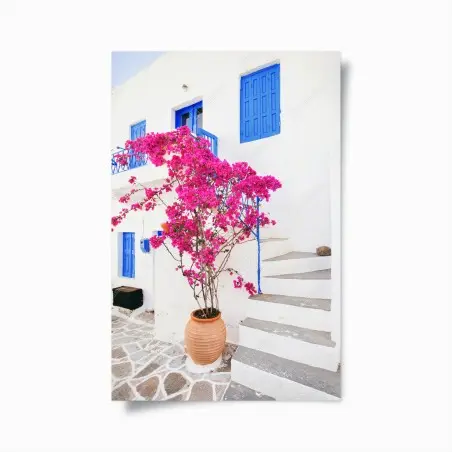 Poster rosa bougainvillea vor weißem haus auf griechischer insel – Wallnifity®