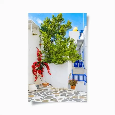 Poster sonniger mediterraner innenhof mit bougainvillea – Wallnifity®