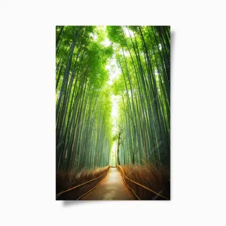 Poster weg durch den bambushain von Arashiyama – Wallnifity®