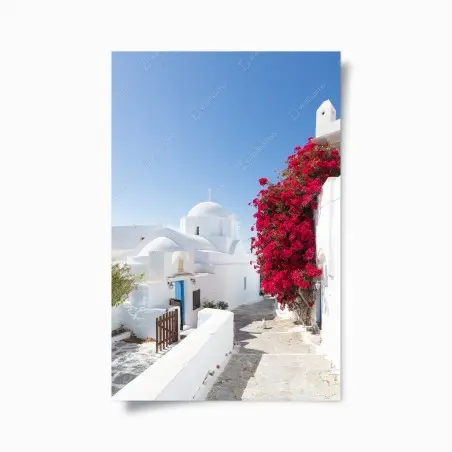 Poster sonnige gasse auf der insel mit leuchtender buganvillea – Wallnifity®