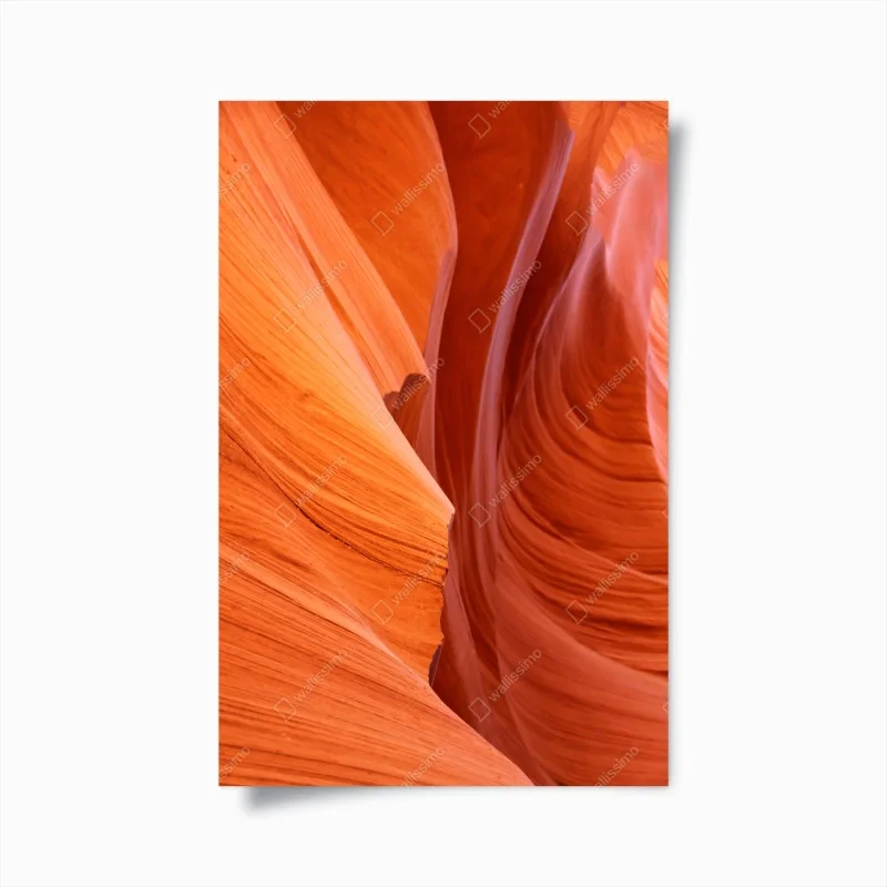 Wüste – Wallnifity®