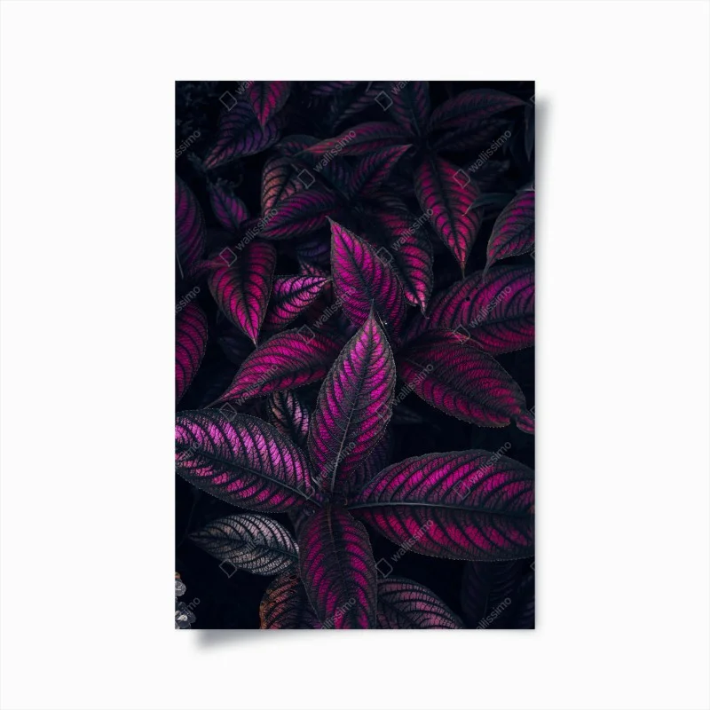 Poster leuchtendes violettes blättermotiv