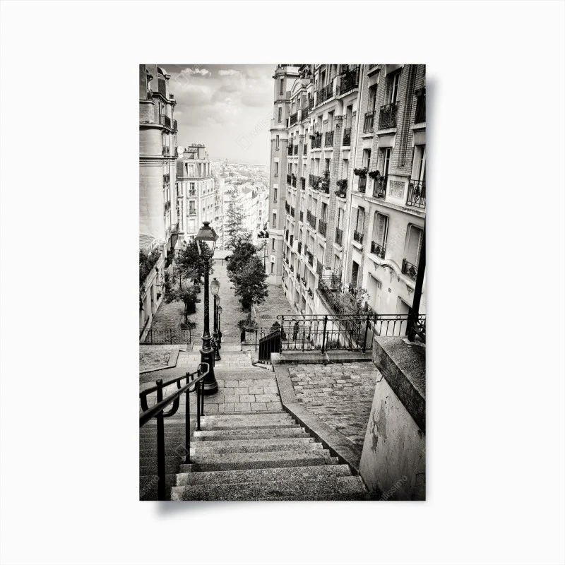 Blumen & Pflanzen – Wallnifity®