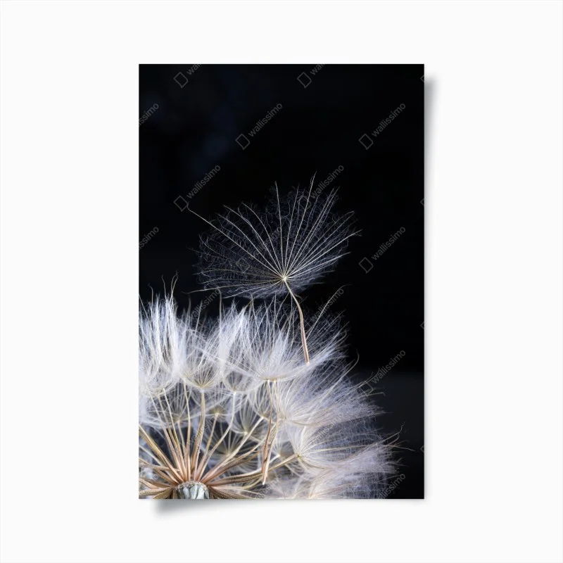 Minimalistisch – Wallnifity®