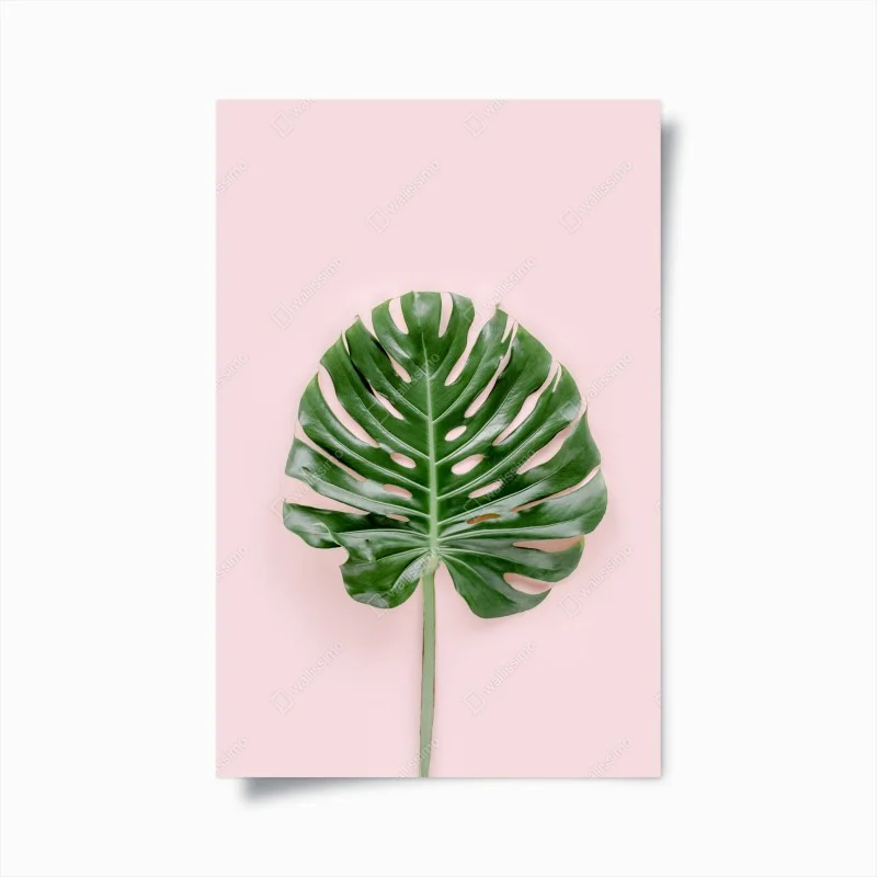 Poster monstera-blatt auf pastell-rosa hintergrund