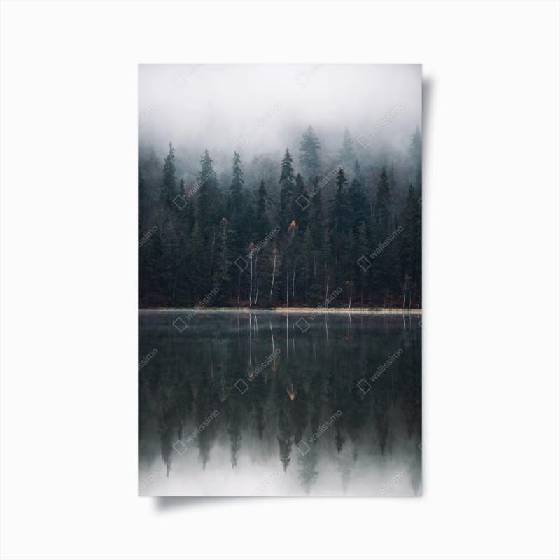 Wälder – Wallnifity®