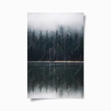 Poster neblige waldreflexion – Wallnifity®