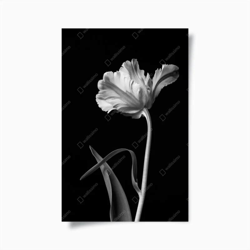 Minimalistisch – Wallnifity®