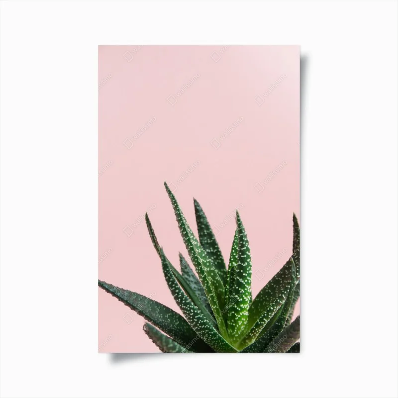 Schlafzimmer – Wallnifity®