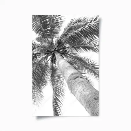 Poster monochrome palme aus der froschperspektive – Wallnifity®