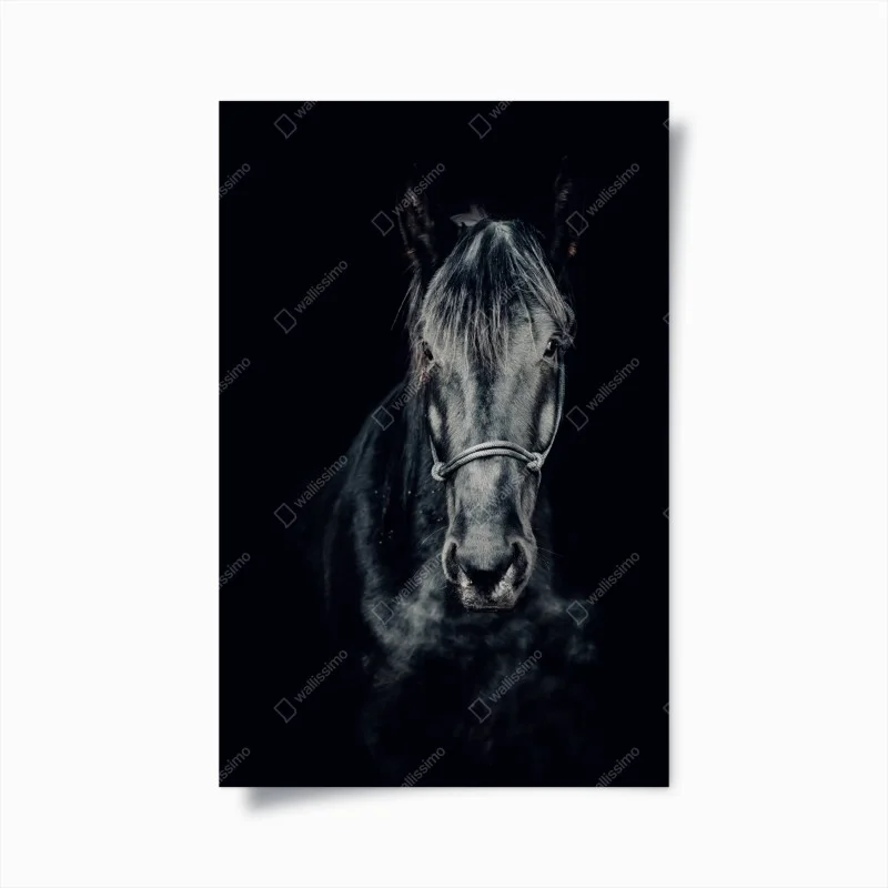 Tiere – Wallnifity®