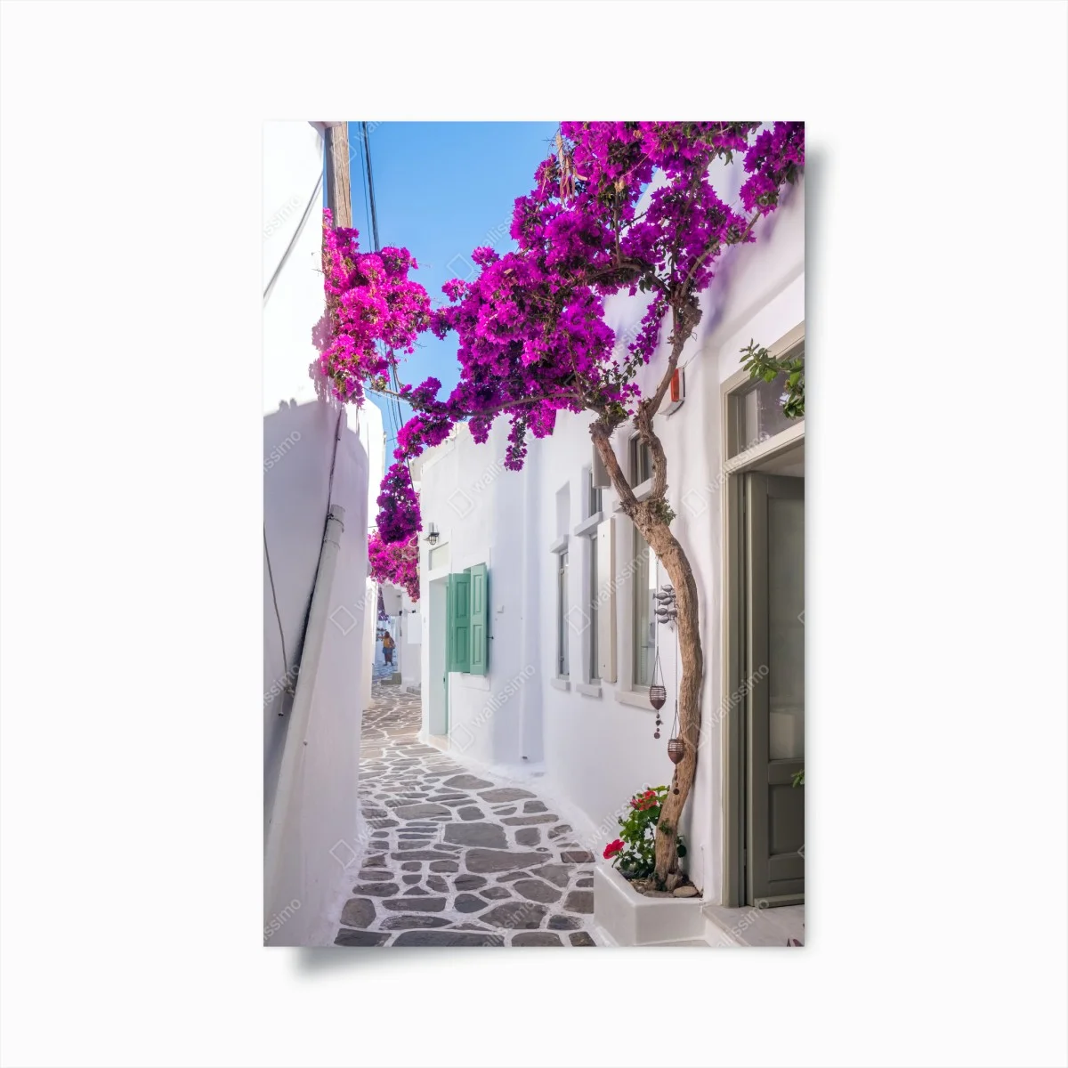 Poster sonnige mediterrane gasse mit bougainvillea – Wallnifity® Poster sonnige mediterrane gasse mit bougainvillea – Wallnifity®