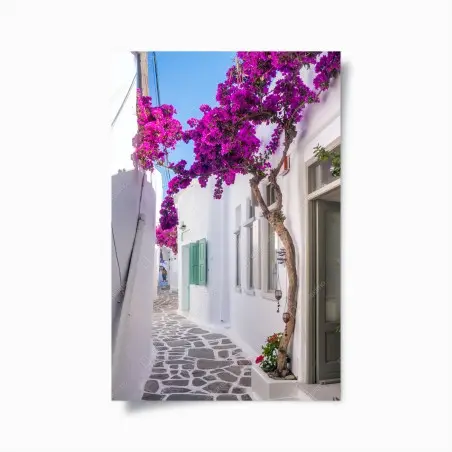 Poster sonnige mediterrane gasse mit bougainvillea – Wallnifity®
