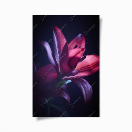 Poster rote lilie im halbdunkel – Wallnifity®
