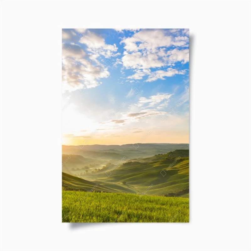 Wiesen – Wallnifity®