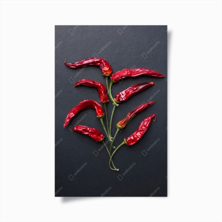 Poster kulinarische grafik mit roten chilischoten – Wallnifity®