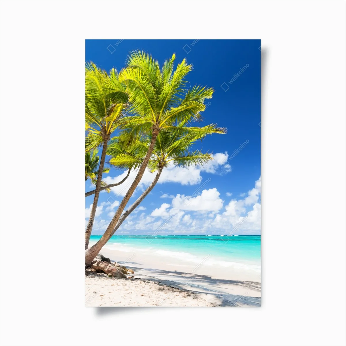 Poster tropischer palmstrand in Punta Cana – Wallnifity® Poster tropischer palmstrand in Punta Cana – Wallnifity®