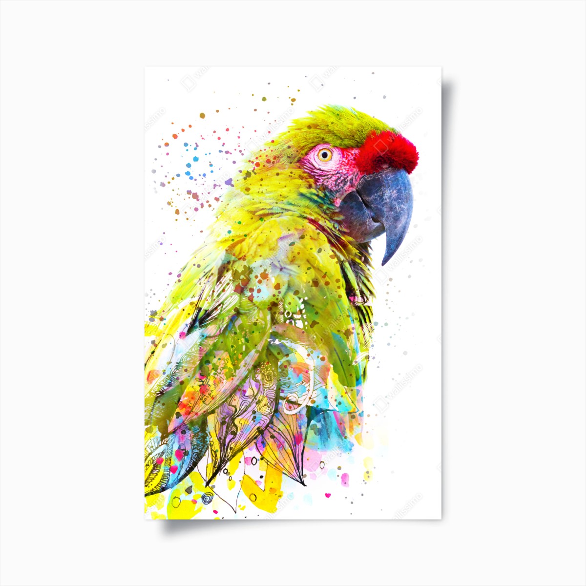 Poster lebhaftes aquarell-porträt eines papageis – Wallnifity®