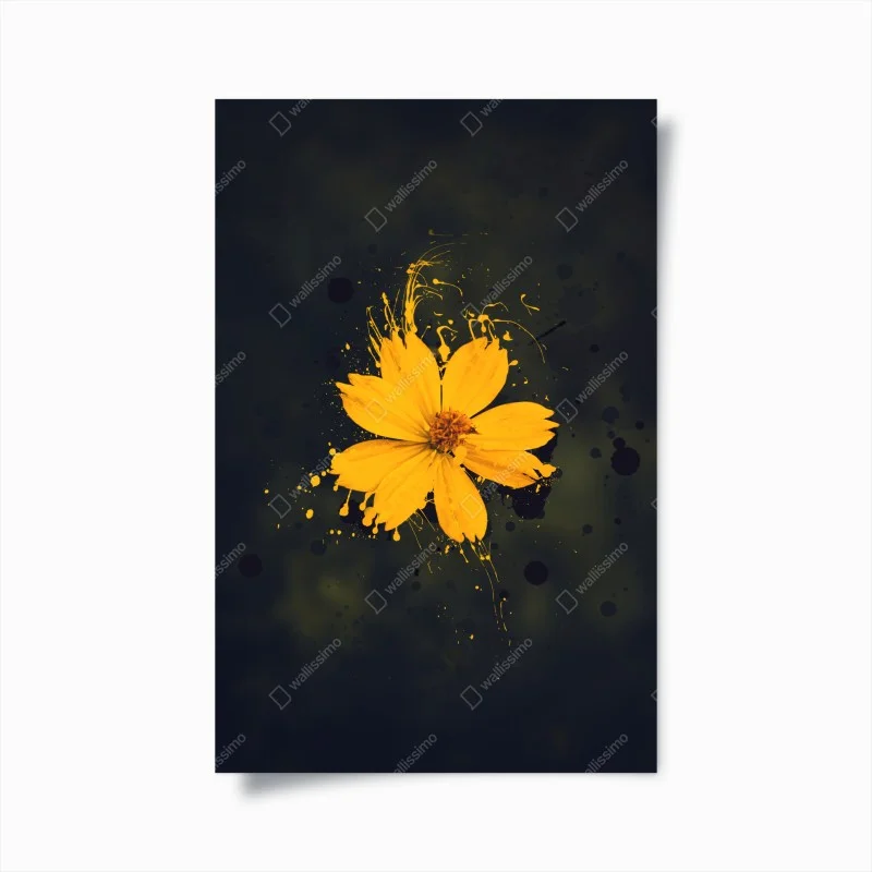 Modern – Wallnifity®