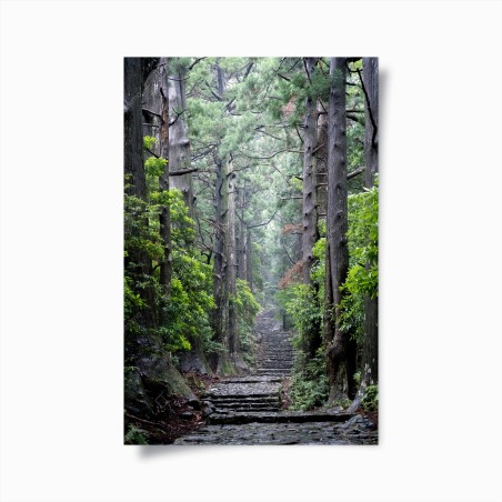 Poster mystischer waldweg zwischen alten bäumen – Wallnifity®