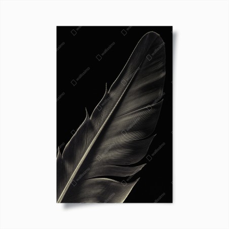 Poster zarte feder in makroaufnahme – Wallnifity®