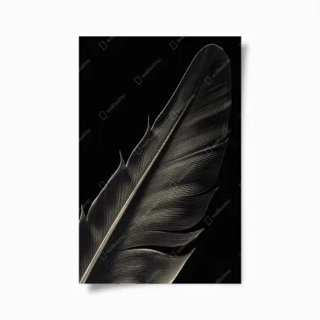 Poster zarte feder in makroaufnahme – Wallnifity®