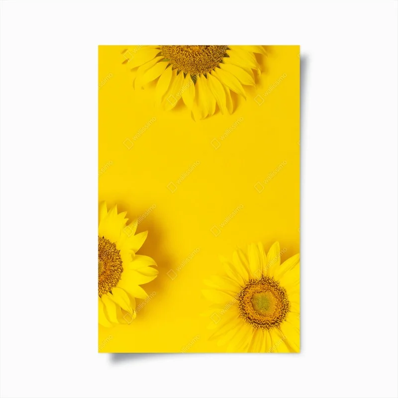 Minimalistisch – Wallnifity®