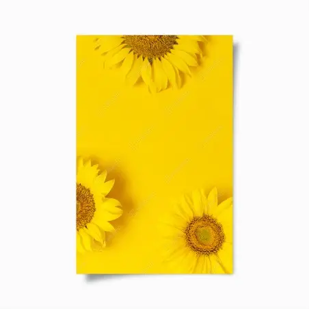 Poster drei sonnenblumen auf gelbem hintergrund – Wallnifity®